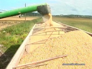 Belizean businesses are locked in a battle over rice from Guyana, according to media reports from that country.