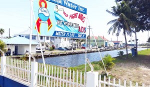 The current water level at the GWI Shelter Belt on Vlissingen Road. 