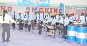 TIGI said that an investigation into abuse of state-owned steel pans appears to be stalled.