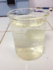 A sample of filtrate removed from sludge to be re-used in the treatment process.