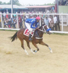 Miss Kristina of the Shariff stable winning the 3yr maiden event. 
