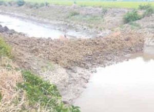 The canal that was filled in and blocked during the tumult 