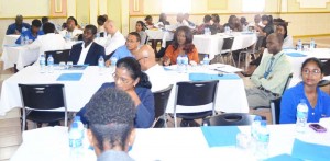  A section of the persons in attendance at the Consultation Brief yesterday. 