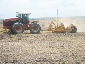 Cane crop for next year is in deep trouble because of little rains in the last six months, GuySuCo said yesterday.