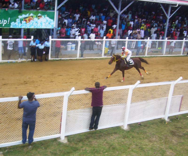 All alone King’s Night of the Jumbo Jet stable with Randolph Richmond wins the feature C and lower event.