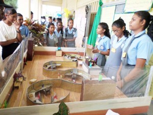 Diamond Secondary School students display a project which shows how an office can be protected against Zika transmitting mosquitoes.