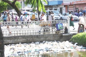 GRA will not be processing transactions for the importation of any Styrofoam products from April 1.