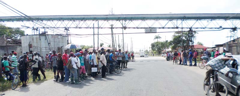Dissatisfied sugar workers during a recent protest outside one of the Estates.
