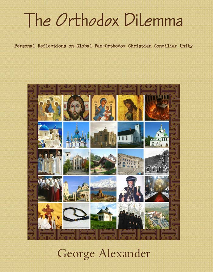 The book cover of Orthodox Dilemma