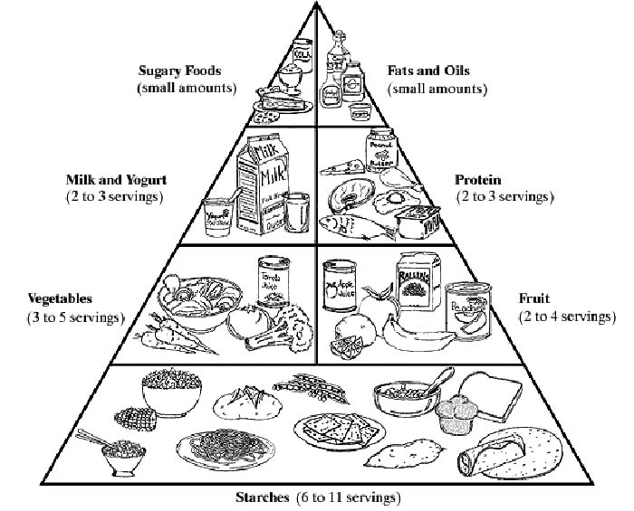 Food pyramid