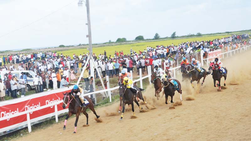 (Flashback)- The scene from a previous Horse Race Meet.