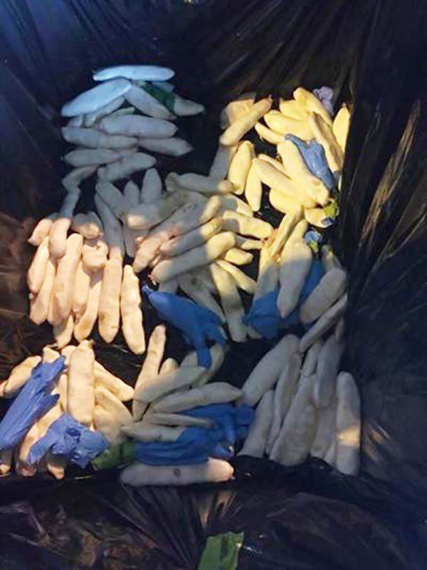 20 kilos of cocaine were discovered stashed inside a shipment of frozen fish.