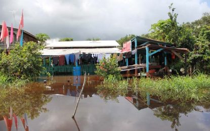 Flood-hit West Berbice residents, farmers plead for help