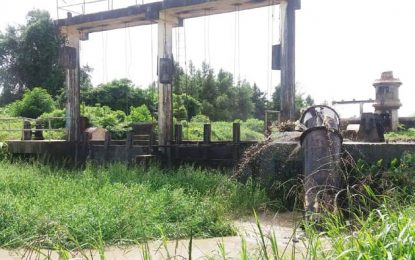 Defective sluices hurt Essequibo farmers