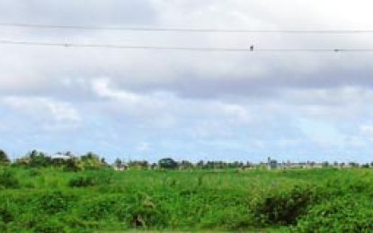 GuySuCo to sell lands to survive over next five years- CEO