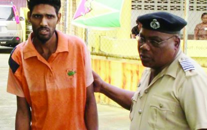 Crane chopping spree ‘Tarzan’ charged with murder