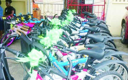 Top Linden NGSA performers get bicycles