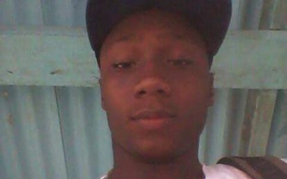 Teen falls to death from Berbice Rice Mill