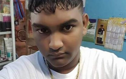 Essequibo teen perishes in car crash