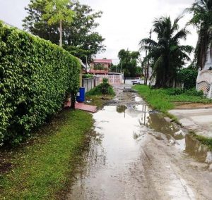 Lindley Avenue, Nandy Park, has never been rehabilitated. There is intense flooding on this roadway whenever it rains. 