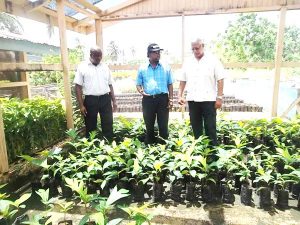 Permanent Secretary George Jervis, Dr Oudho Homenauth and Minister of Agriculture Noel Holder.