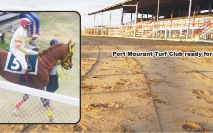 Action packed day envisaged for $30M  in 2016 Guyana Cup race meet