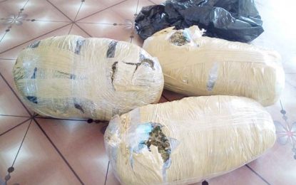 Bus driver nabbed with ganja at roadblock