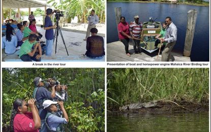 Mangrove Restoration project grows into birding expedition