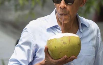 Oh, no…a shortage of coconuts?!