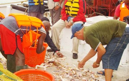 Major crackdown announced to ensure fishing boats licensed