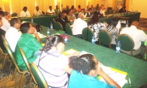 Participants at FLEGT/VPA seminar