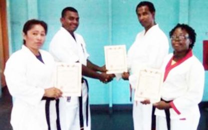 Little Diamond Int’l Martial Arts Academy Instructors officially authorised to teach