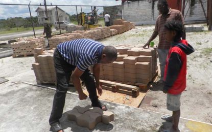 Transforming the construction sector with interlocking bricks