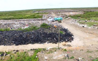 Govt moves to sell 5,000 tonnes of used tyres dumped at Haags Bosch