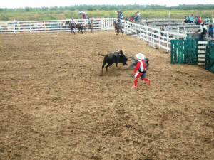 The clown in action during a previous rodeo event.