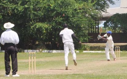 NBS 2nd division 40-over cricket …Perez (100), Rutherford (81) lead DCC to record 376-4