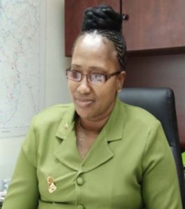 Minister within the Ministry of Public Infrastructure, Annette Ferguson