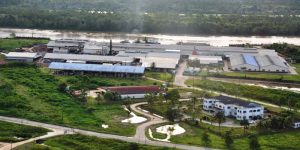 Barama’s plywood factory operations at Land of Canaan, East Bank Demerara.