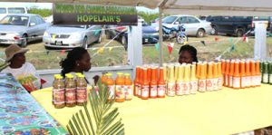 Berbice based NGO Hopelairs  displaying locally produced condiments  at the MMA open day activity