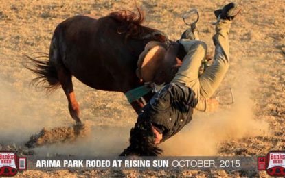 All set for Rising Sun Rodeo today