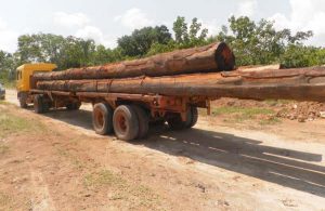 Timber trucks with logs will attract a $5000 fee – this was the first such vehicle at the toll booth yesterday.