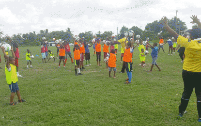 GFF Grass Roots FestivaL …Tripple venues to host this weekend;  Coach Educators Programme also on