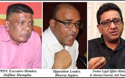 PPP to host 31st Congress…Party structure and unity to be primary focus