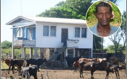 Cattle farmer survives home invasion