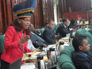 Opposition MP, Yvonne Pearson wearing a traditional Headdress making a point in the National Assembly yesterday. 