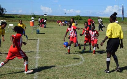 3rd Annual Smalta Girls Pee Wee Football Competition…Business end commences today with quarter-final action