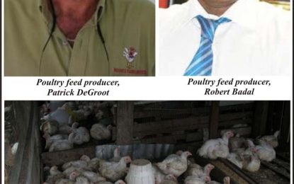 VAT changes…Chicken prices will escalate with new budget – poultry producers