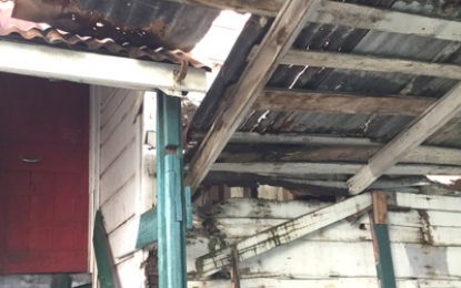 Charlotte Street residents fear collapse of rotting shed