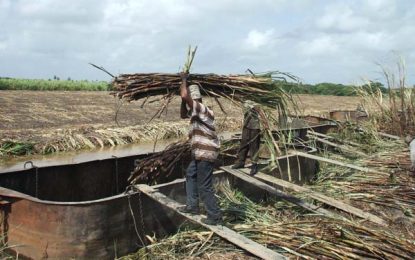 Reduced bailouts for sugar industry has already started – Finance Minister