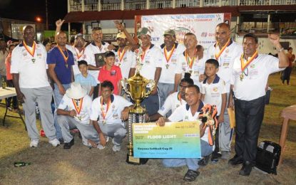 Softball cricket enjoyed another good outing in 2016